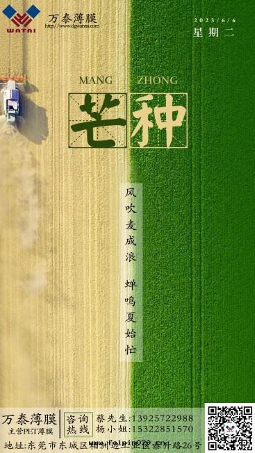 今日(rì)芒種(zhǒng)丨芒有(yǒu)所(suǒ)獲，種(zhǒng)有(yǒu)所(suǒ)得